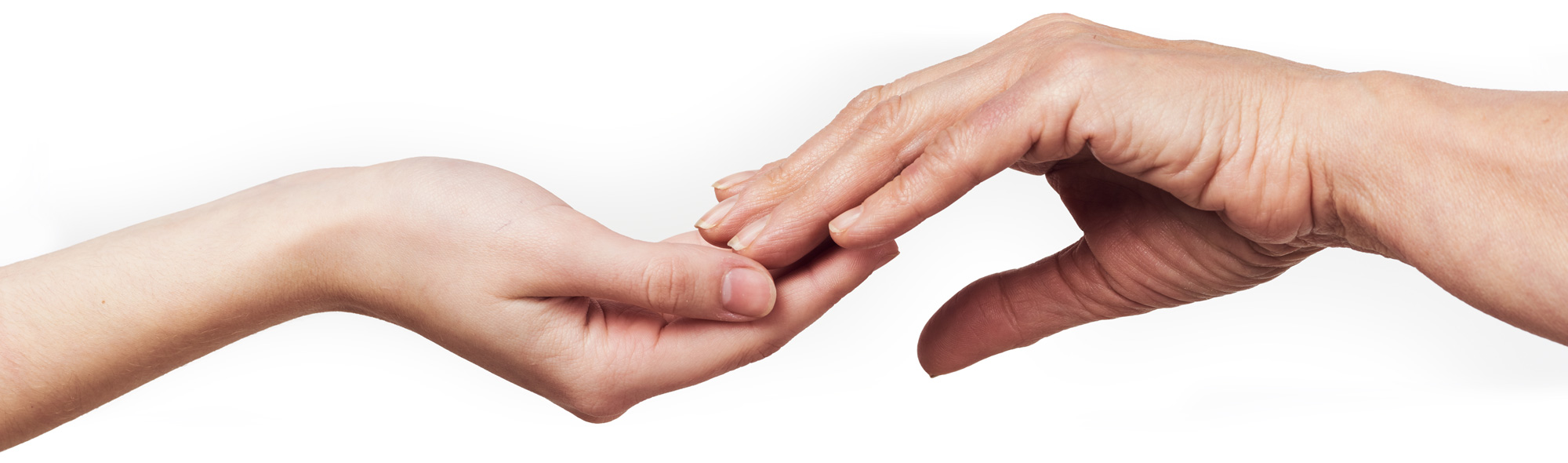 Hoivakoti Wilma Hoivakoti Wilma